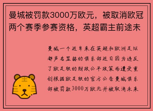 曼城被罚款3000万欧元，被取消欧冠两个赛季参赛资格，英超霸主前途未卜